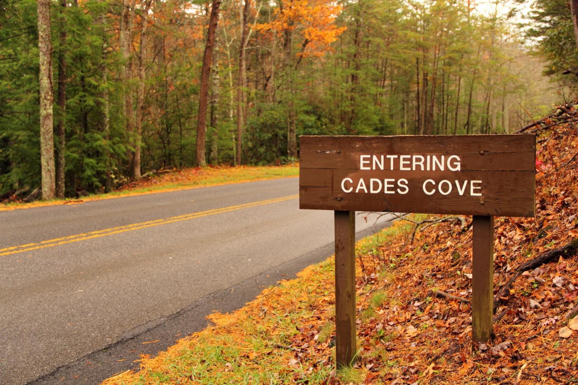 Bear Den, Hot Tub, 1089 Of Free Attraction Tickets For Each Paid Day, Dollywood And More! Sevierville Exterior foto